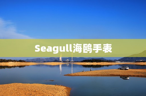 Seagull海鸥手表