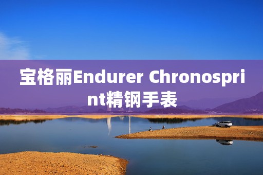 宝格丽Endurer Chronosprint精钢手表