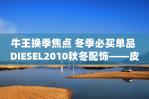 牛王换季焦点 冬季必买单品 DIESEL2010秋冬配饰——皮带(组图)