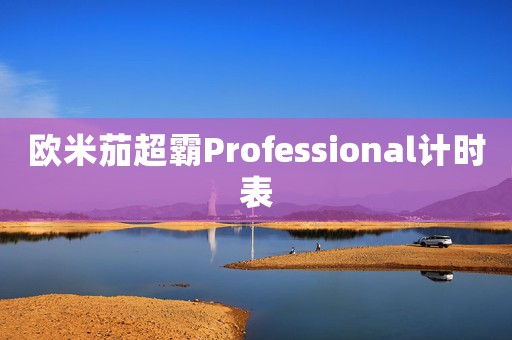 欧米茄超霸Professional计时表