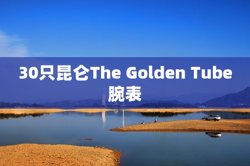 30只昆仑The Golden Tube腕表