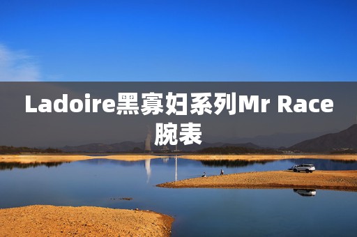 Ladoire黑寡妇系列Mr Race腕表