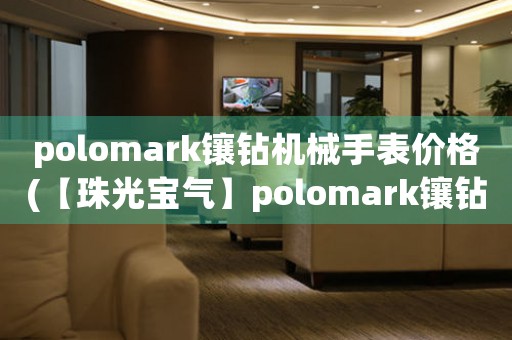 polomark镶钻机械手表价格(【珠光宝气】polomark镶钻机械手表价格一览)