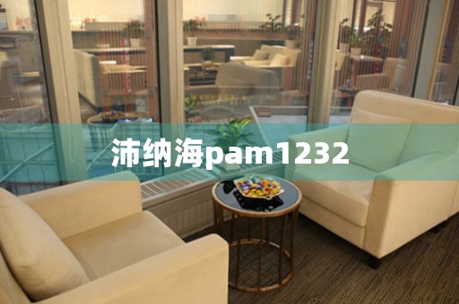 沛纳海pam1232