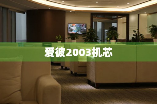 爱彼2003机芯