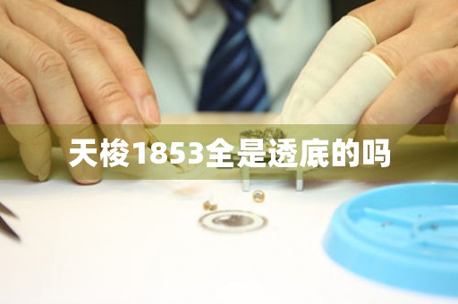 天梭1853全是透底的吗