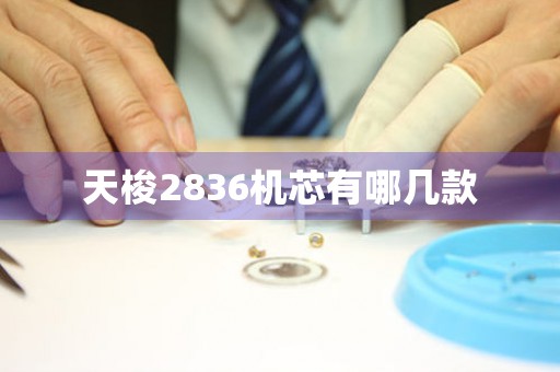 天梭2836机芯有哪几款