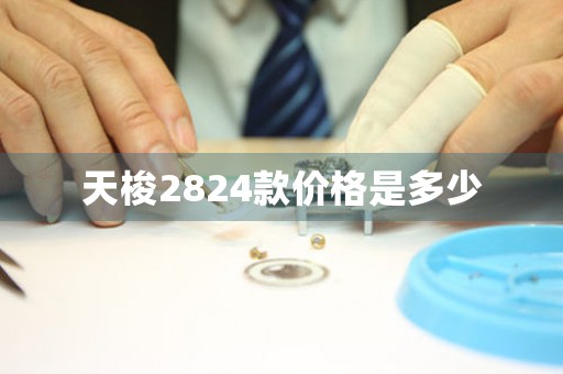 天梭2824款价格是多少