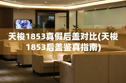 天梭1853真假后盖对比(天梭1853后盖鉴真指南)