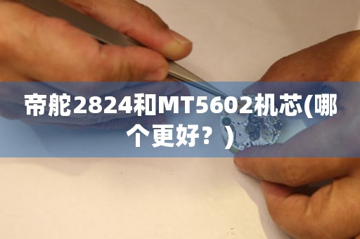 帝舵2824和MT5602机芯(哪个更好？)