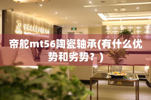 帝舵mt56陶瓷轴承(有什么优势和劣势？)