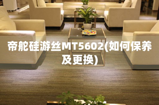 帝舵硅游丝MT5602(如何保养及更换)