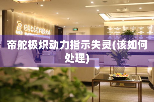 帝舵极炽动力指示失灵(该如何处理)