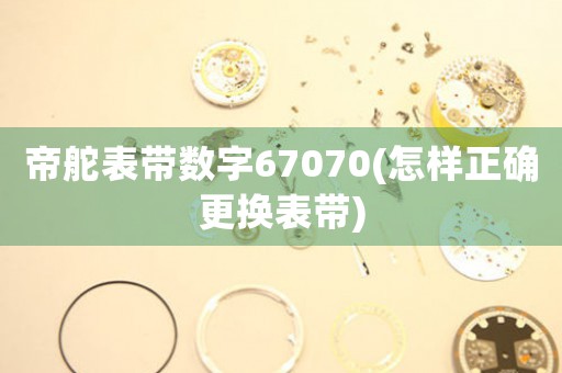 帝舵表带数字67070(怎样正确更换表带)