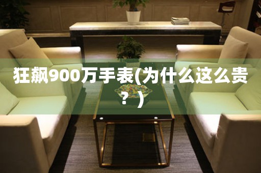 狂飙900万手表(为什么这么贵？)