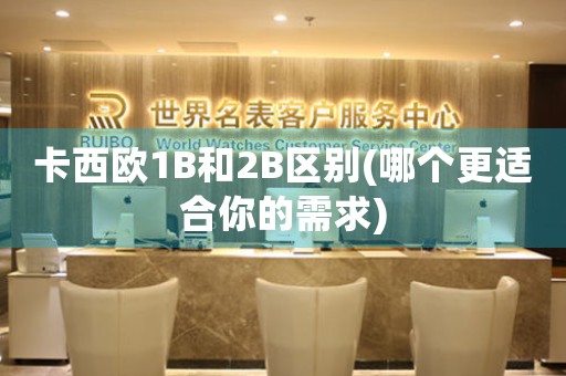 卡西欧1B和2B区别(哪个更适合你的需求)