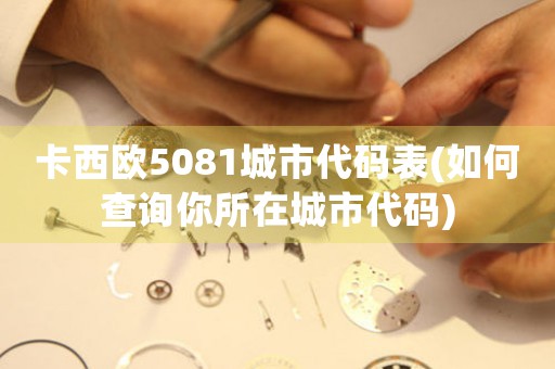 卡西欧5081城市代码表(如何查询你所在城市代码)