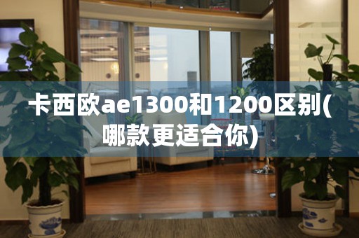 卡西欧ae1300和1200区别(哪款更适合你)