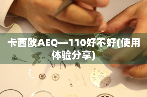 卡西欧AEQ—110好不好(使用体验分享)