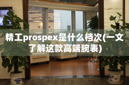 精工prospex是什么档次(一文了解这款高端腕表)