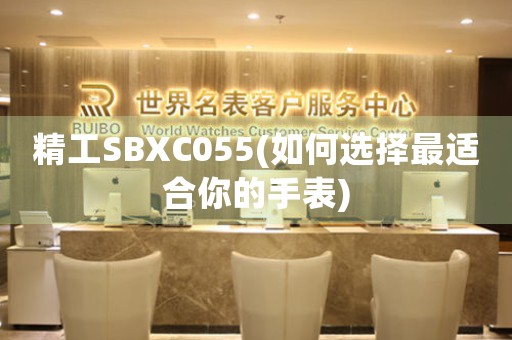 精工SBXC055(如何选择最适合你的手表)