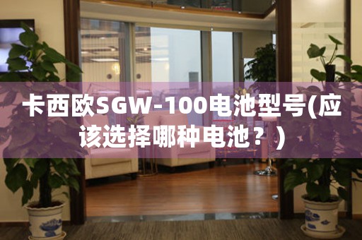 卡西欧SGW-100电池型号(应该选择哪种电池？)