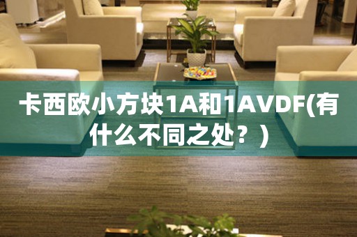 卡西欧小方块1A和1AVDF(有什么不同之处？)