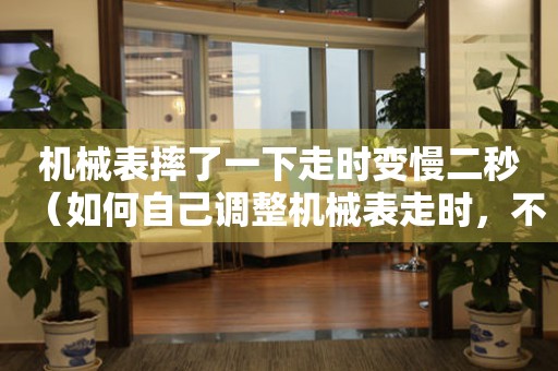 机械表摔了一下走时变慢二秒（如何自己调整机械表走时，不用去维修店）