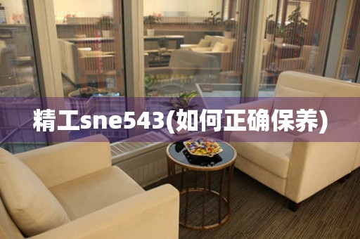 精工sne543(如何正确保养)