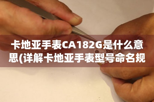 卡地亚手表CA182G是什么意思(详解卡地亚手表型号命名规则)