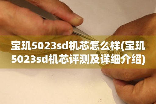 宝玑5023sd机芯怎么样(宝玑5023sd机芯评测及详细介绍)。