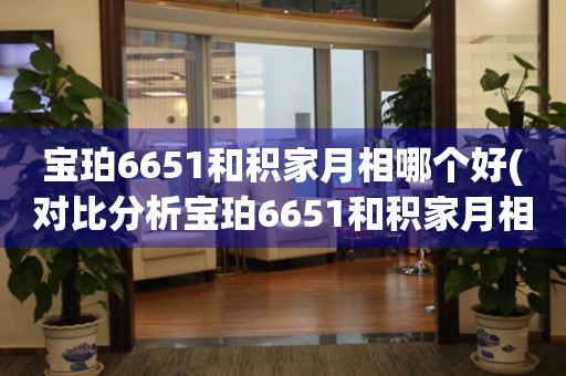 宝珀6651和积家月相哪个好(对比分析宝珀6651和积家月相的优缺点)。