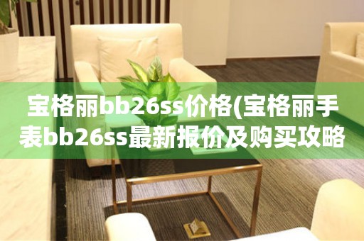 宝格丽bb26ss价格(宝格丽手表bb26ss最新报价及购买攻略)