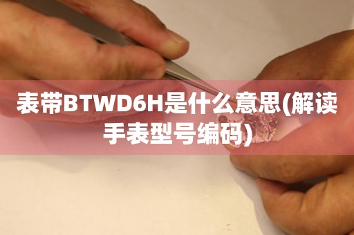 表带BTWD6H是什么意思(解读手表型号编码)