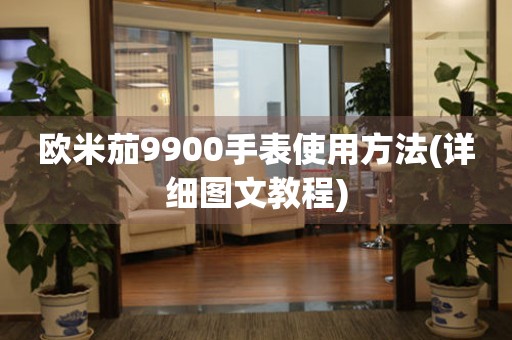 欧米茄9900手表使用方法(详细图文教程)