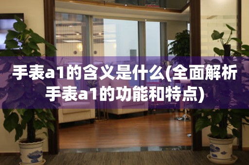 手表a1的含义是什么(全面解析手表a1的功能和特点)