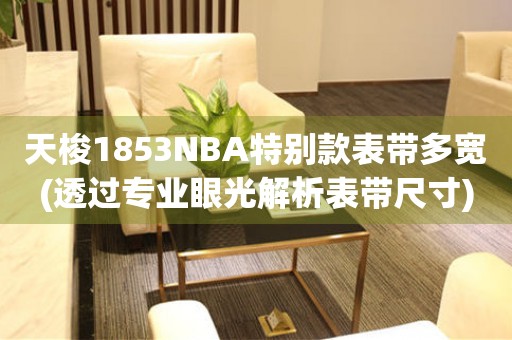 天梭1853NBA特别款表带多宽(透过专业眼光解析表带尺寸)