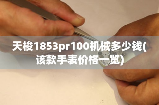 天梭1853pr100机械多少钱(该款手表价格一览)