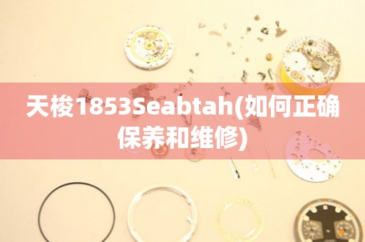 天梭1853Seabtah(如何正确保养和维修)