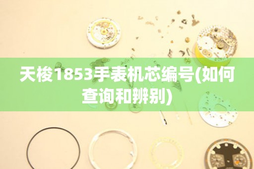 天梭1853手表机芯编号(如何查询和辨别)