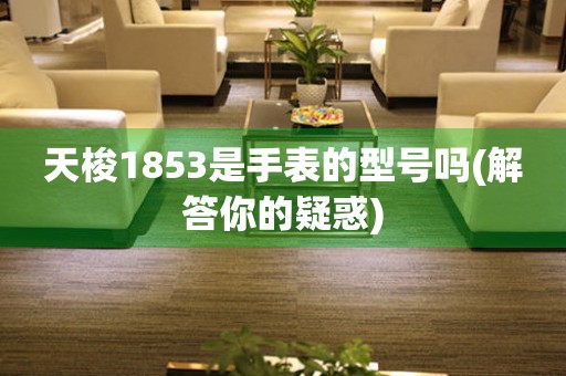 天梭1853是手表的型号吗(解答你的疑惑)