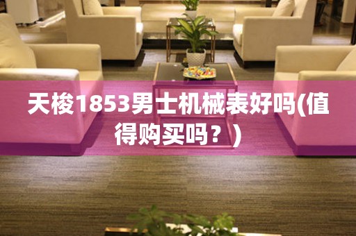 天梭1853男士机械表好吗(值得购买吗？)