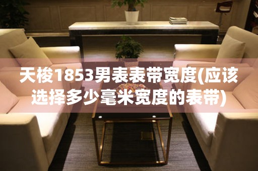 天梭1853男表表带宽度(应该选择多少毫米宽度的表带)