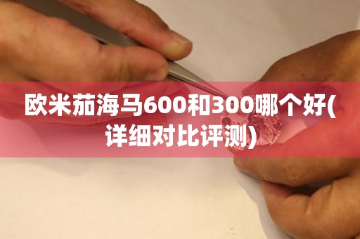 欧米茄海马600和300哪个好(详细对比评测)