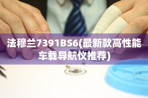 法穆兰7391BS6(最新款高性能车载导航仪推荐)