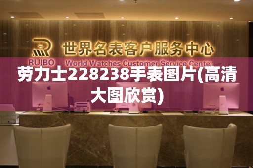 劳力士228238手表图片(高清大图欣赏)