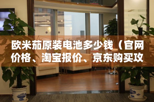 欧米茄原装电池多少钱（官网价格、淘宝报价、京东购买攻略）