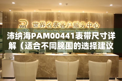 沛纳海PAM00441表带尺寸详解（适合不同腕围的选择建议）