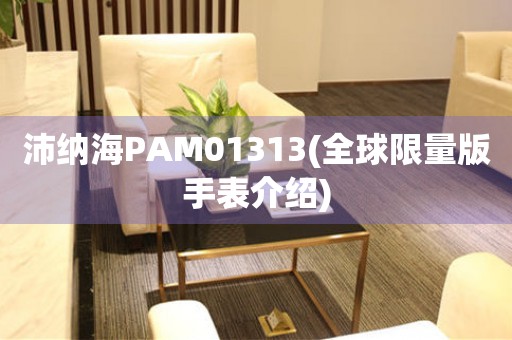 沛纳海PAM01313(全球限量版手表介绍)