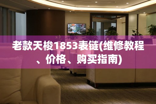 老款天梭1853表链(维修教程、价格、购买指南)